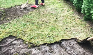 Снятие дерна старого газона в Новоалтайске – от 517 руб. | 2Землекопа-Нвл
